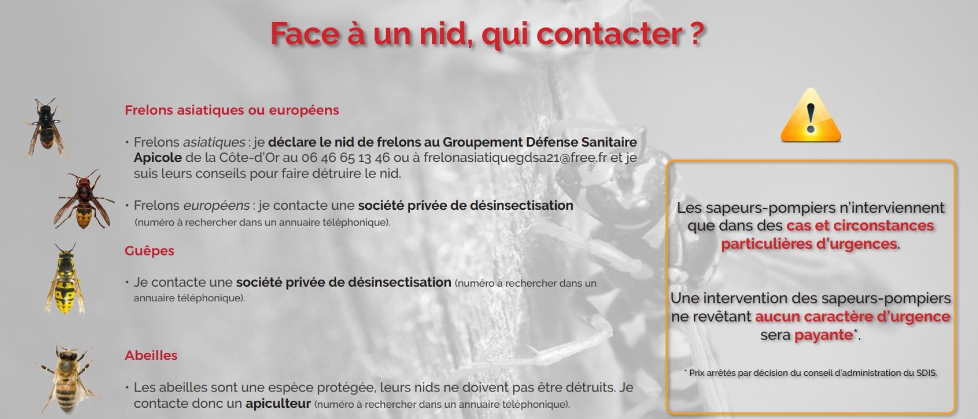 Face à un nid que faire ? Lamarche sur Saône